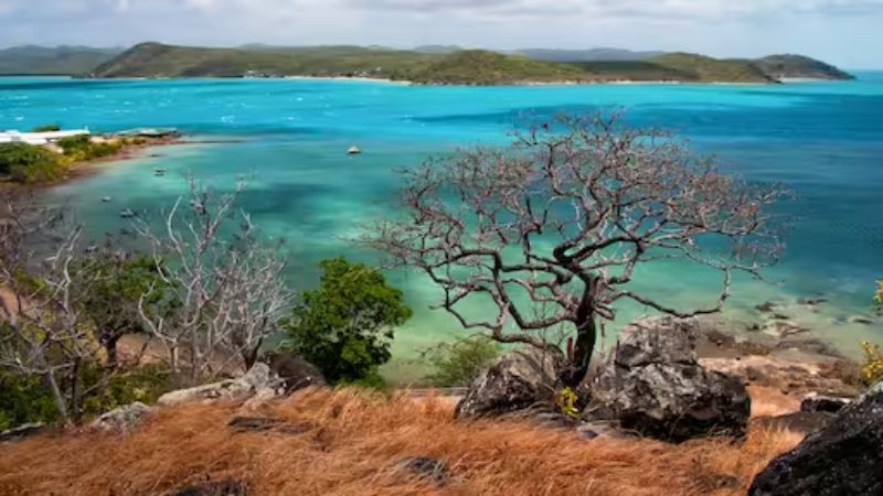 Badu Island