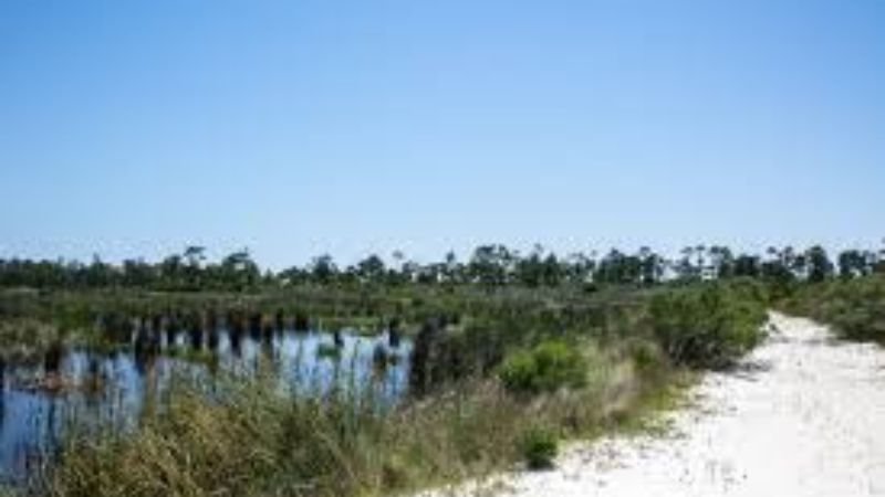 Horn Island